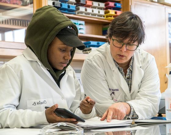 Faculty member advising a student